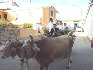 Carro a buoi